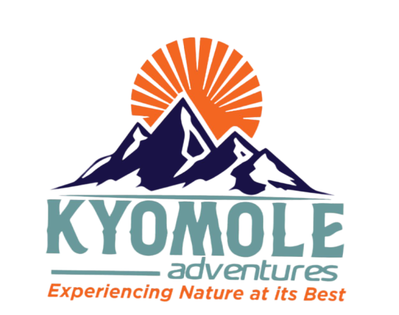 Kyomole Logo